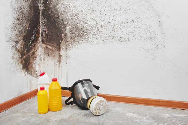 Best Crawl Space Mold Removal  in Amboy, WA