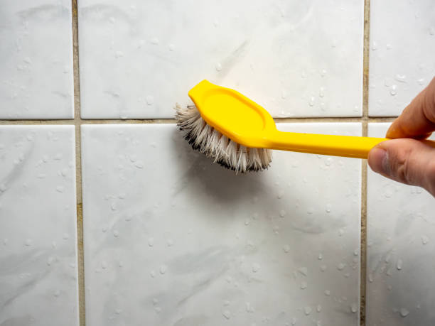 Best Mold Testing  in Amboy, WA