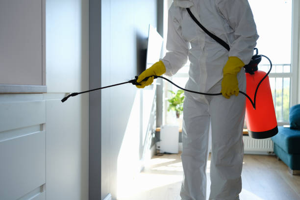 Best Mold Removal Near Me  in Amboy, WA