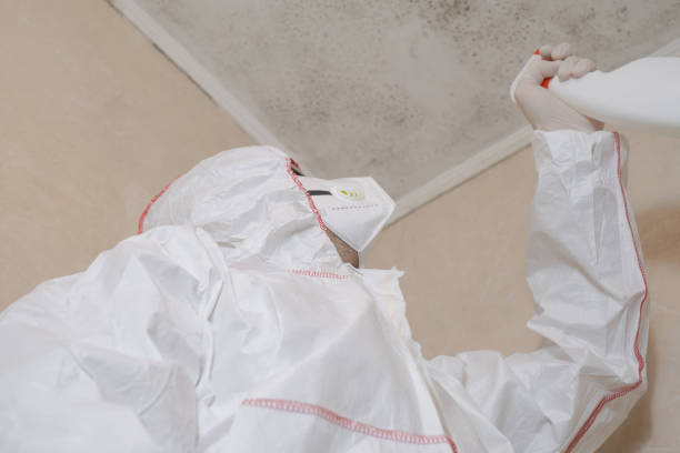 Best Commercial Mold Removal  in Amboy, WA