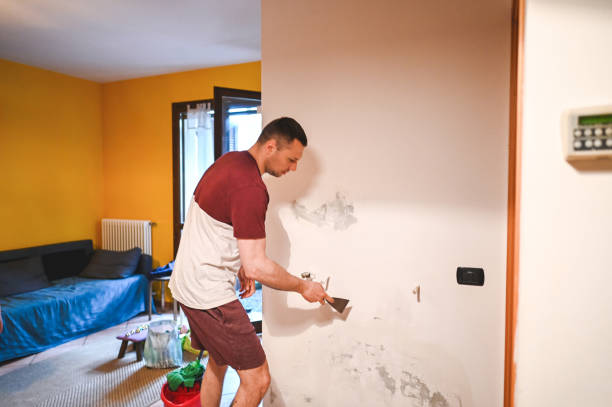 Best Mold Removal and Inspection  in Amboy, WA